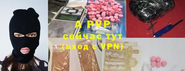 СК Беломорск